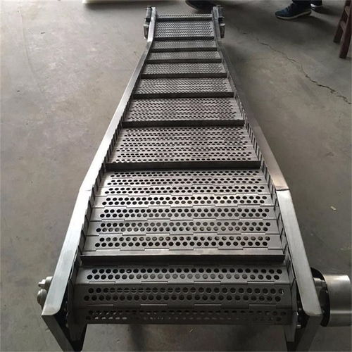 魯寧機械歡迎來電 常州食品用鏈板輸送機 食品用鏈板輸送機廠家高清圖片 高清大圖